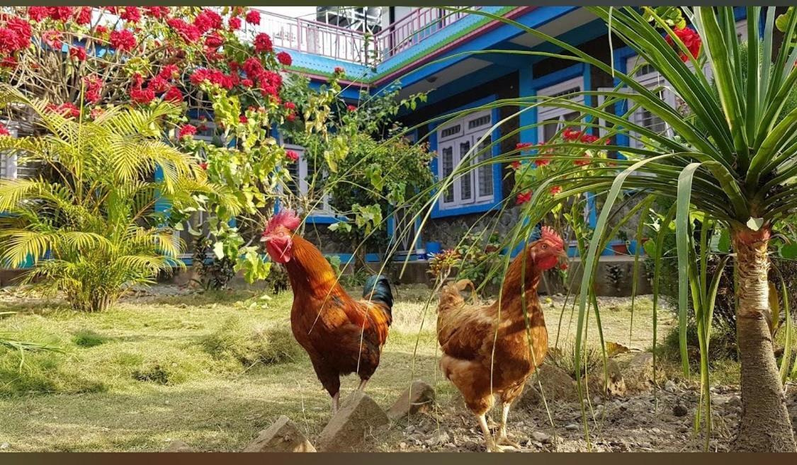Robins Nest Hotel & Restaurant Deorāli 외부 사진